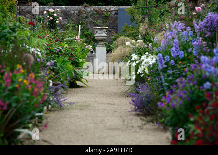 Die Dillon Garten, Helen Dillon, Plantswoman, Dun Mhuire, Seafield Ave, Monkstown, Dublin, Irland, ein Staudenbeet, Stauden, üppige Bepflanzung Stockfoto