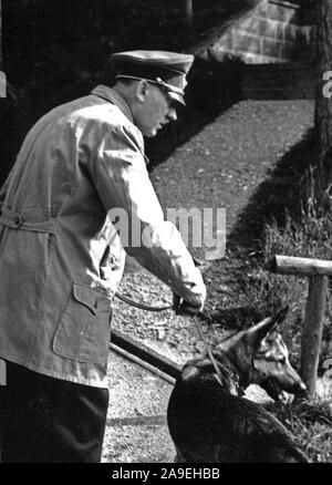 Eva Braun Sammlung (trinaest) - Adolf Hitler mit seinem Deutschen Schäferhund Ca. 1930s oder 1940s Stockfoto