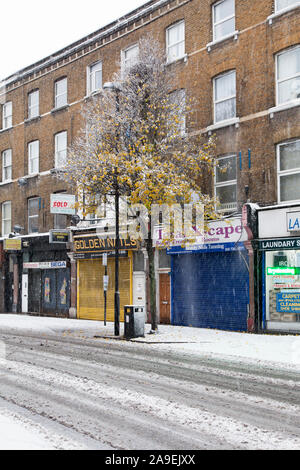 Chanticleer pear-Straße Baum (Pyrus calleryana "chanticleer) im Schnee, Hornsey Road, London N19 Stockfoto