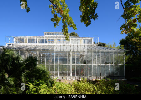 Gewächshaus oder im Gewächshaus im Botanischen Garten Parc Borely, Borely Park oder öffentlichen Garten, Marseille Frankreich Stockfoto