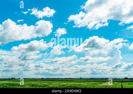 Landschaft grüne Rasenfläche und Zaun des Flughafens und schönen blauen Himmel und weiße flauschige Wolken. Schönes Wetter. Natur Landschaft. Bereich um Stockfoto