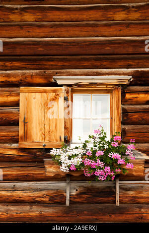 Blume Fenster auf der Weide Stockfoto