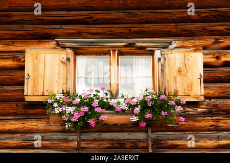 Blume Fenster auf der Weide Stockfoto