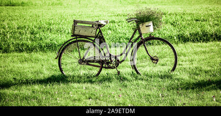 Fahrrad auf der Wiese Stockfoto