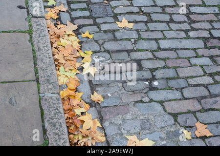 Straße mit Kopfsteinpflaster und Dachrinne mit Herbst Sycamore (aceraceae) Blatt fallen Stockfoto