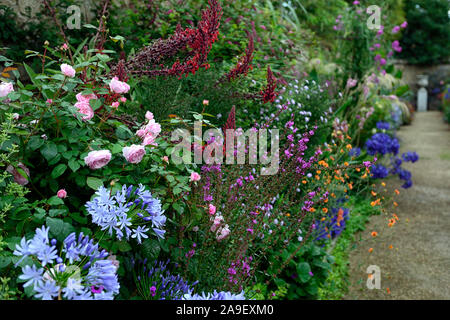 Die Dillon Garten, Helen Dillon, Plantswoman, Dun Mhuire, Seafield Ave, Monkstown, Dublin, Irland, ein Staudenbeet, Stauden, üppige Bepflanzung Stockfoto