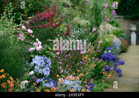 Die Dillon Garten, Helen Dillon, Plantswoman, Dun Mhuire, Seafield Ave, Monkstown, Dublin, Irland, ein Staudenbeet, Stauden, üppige Bepflanzung Stockfoto