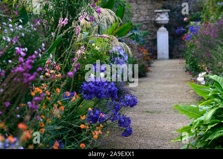 Die Dillon Garten, Helen Dillon, Plantswoman, Dun Mhuire, Seafield Ave, Monkstown, Dublin, Irland, ein Staudenbeet, Stauden, üppige Bepflanzung Stockfoto