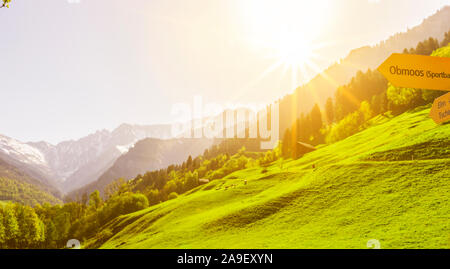 Sonnenaufgang in Elm Stockfoto