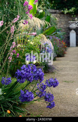 Die Dillon Garten, Helen Dillon, Plantswoman, Dun Mhuire, Seafield Ave, Monkstown, Dublin, Irland, ein Staudenbeet, Stauden, üppige Bepflanzung Stockfoto