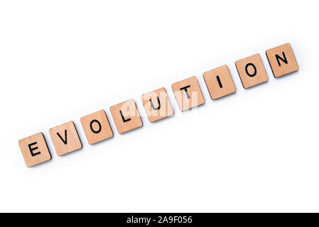 Das Wort EVOLUTION, Dinkel mit hölzernen Buchstabensteine über einen weißen Hintergrund. Stockfoto