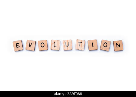 Das Wort EVOLUTION, Dinkel mit hölzernen Buchstabensteine über einen weißen Hintergrund. Stockfoto