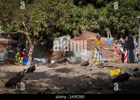 Gabu, Republik Guinea-Bissau - 11. Februar 2018: die Menschen in einem Slum am Rande der Stadt von Gabu, mit Dreck auf der Straße und Geier, in G Stockfoto