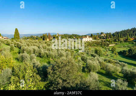 Ländliche Landschaft mit Olivenbäumen, Ansicht von oben. Toskana, Italien Stockfoto