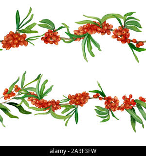 Aquarell nahtlose Grenzen von Sanddorn Zweige mit Blättern und Beeren auf weißem Hintergrund. Design für Hüllen, Verpackungen, Hintergrund. Stockfoto