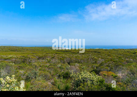 Panorama Landschaft, grüne Buschland Outback und das Meer am Horizont. Abrahams Schoß finden, Beecroft Halbinsel, Australien Stockfoto
