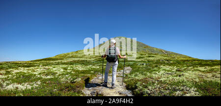 Wandern im Fjell Stockfoto