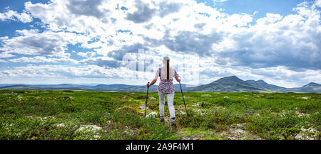 Wandern im Fjell Stockfoto