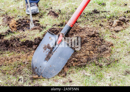 Die Anpflanzung von Bäumen in den Boden. Garten Werkzeuge für das Graben der Masse. Pflanzen ein sämling und Fürsorge für sie. Freiwillige den Wald neu zu erfinden. Erstellung eines t Stockfoto