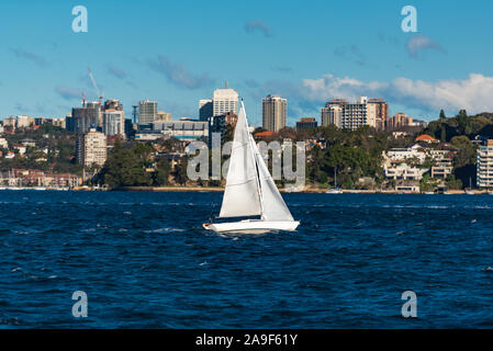 Boot mit weißen Segeln, Yacht segeln Hafen von Sydney auf synny Tag Stockfoto
