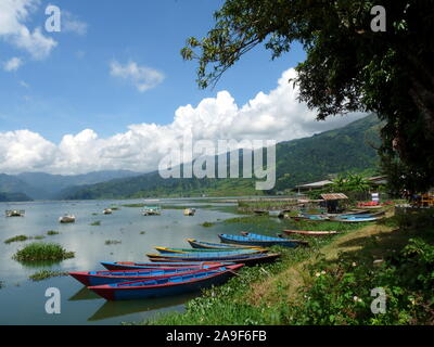 Bunte Ruderboote auf Phewa See, Pokhara, Nepal Stockfoto