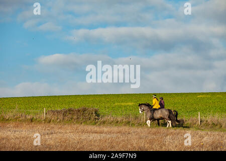 Reiter in der South Downs National Park, West Sussex, England. Stockfoto