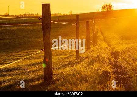 Zaunpfosten und Zaun in der Goldenen Stunde Sonnenuntergang Licht auf Gras Feld Schuß gegen die Sonne mit selektiven Fokus. ländlichen Herbst Szene in warmes Sonnenlicht w Stockfoto