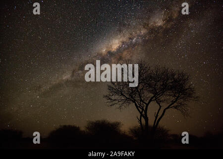 Milchstraße über die Kalahari Wüste, südlichen Sternenhimmel, Namibia Stockfoto