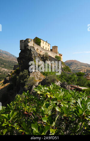 Cittadelle U Castellu - die Zitadelle auf dem Hügel der Altstadt von Corte, Zentral Korsika, Corse-du-Sud, Frankreich Europa - Korsika Berg Dorf Landschaft Stockfoto