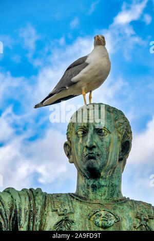 Eine gelb-legged Gull (Larus michahellis) stehen auf dem Kopf der Statue des Kaisers Marcus Cocceius Nerva in der Via dei Fori Imperiali, Rom Stockfoto