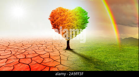 Herzförmige Baum in eine surreale Landschaft der Wüste mit Regenbogen Stockfoto