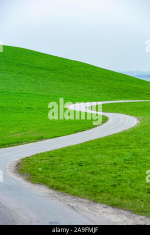 Kurvenreiche Landstraße durch Wiesen Stockfoto