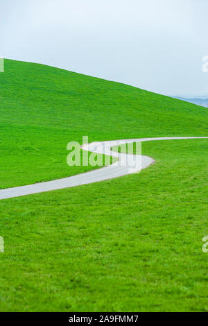 Kurvenreiche Landstraße durch Wiesen Stockfoto