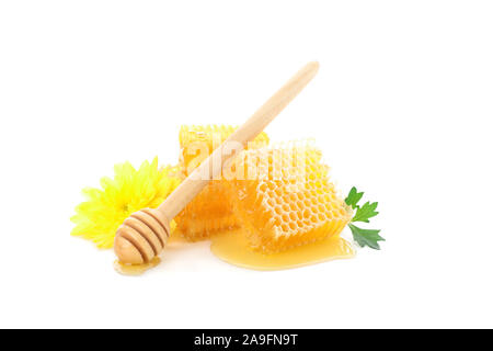 Stücke von Wabe, Chrysantheme und Pendelarm auf weißem Hintergrund Stockfoto