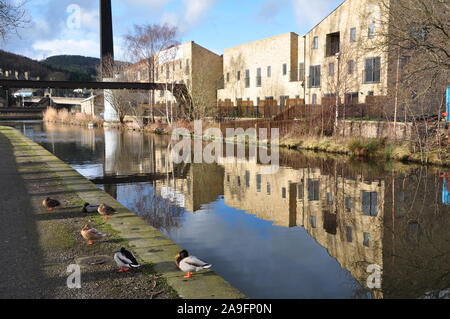 Neues Gehäuse, Leeds Liverpool Canal an Bingley, Yorkshire Stockfoto