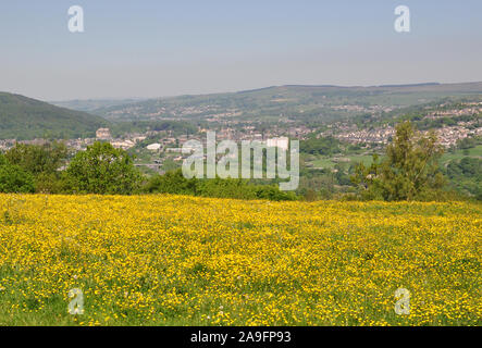 Bingley und die Aire Tal, West Yorkshire im späten Frühjahr Stockfoto