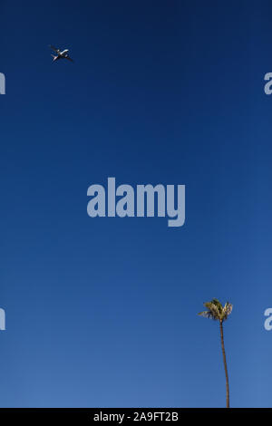 Flugzeug fliegen über einzelne Palm Tree gegen strahlend blauen Himmel Stockfoto