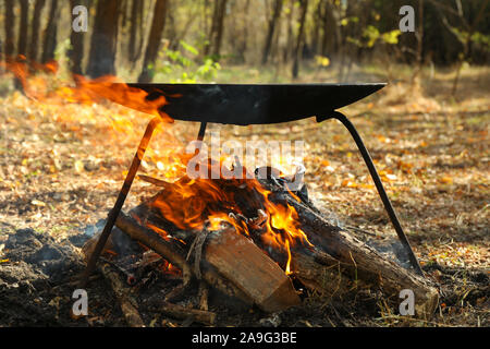 Grill brazier und Lagerfeuer im Wald, Platz für Text Stockfoto