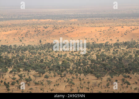 Der Dogon: plain Seno Stockfoto