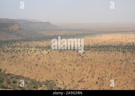 Der Dogon: plain Seno Stockfoto