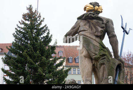 Weimar, Deutschland. 15 Nov, 2019. Die Zukunft Weihnachtsbaum wird auf dem Markt vor dem Neptunbrunnen. Die 16 Meter hohen roten Fichten stammt aus einer privaten Eigentums und wurde in der Stadt kostenlos zur Verfügung gestellt. Der Weihnachtsbaum wird mit einer LED-Kette auf 18.11.2019 eingerichtet werden. Credit: Soeren Stache/dpa-Zentralbild/ZB/dpa/Alamy leben Nachrichten Stockfoto