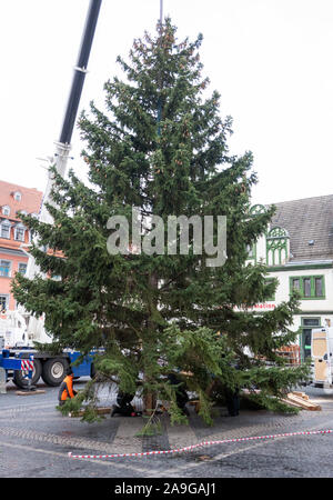 Weimar, Deutschland. 15 Nov, 2019. Die Zukunft Weihnachtsbaum auf den Markt gebracht wird. Die 16 Meter hohen roten Fichten stammt aus einer privaten Eigentums und wurde in der Stadt kostenlos zur Verfügung gestellt. Der Weihnachtsbaum wird mit einer LED-Kette auf 18.11.2019 eingerichtet werden. Credit: Soeren Stache/dpa-Zentralbild/ZB/dpa/Alamy leben Nachrichten Stockfoto