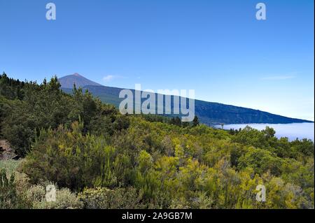 Blick auf den Teide entlang der Straße Stockfoto