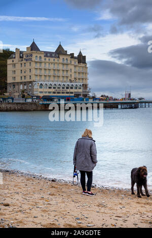 Reife lady Walking ihren schwarzen Labradoodle Hund am Strand von Llandudno mit Blick auf das Grand Hotel Stockfoto