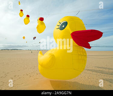 Fliegende ente Drachen auf der windigen Strand von Playas Grandes, südlich von Corralejo, Fuerteventura, Spanien, Europa. Stockfoto