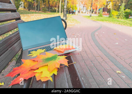 Im Herbst Park auf einer Bank mit Blättern liegt ein Laptop. Herbst Komposition mit einem Computer. Remote arbeiten Konzept. Bild horizontal Stockfoto