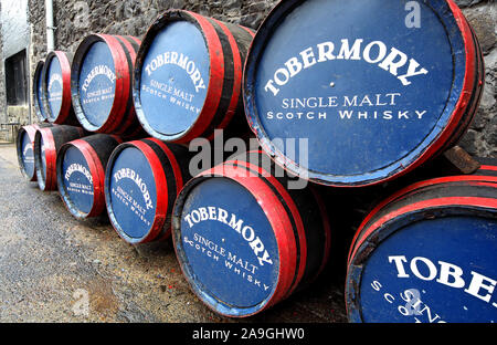 Tobermory und Ledaig Single Malt Scotch Whisky Fässern in einer Brennerei Yard, Isle Of Mull, Westschottland, Großbritannien Stockfoto