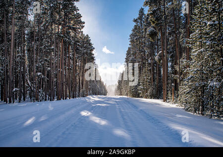 Fahren Sie geradeaus Stockfoto