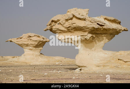 Ägypten, Farafra, Nationalpark Weiße Wüste, Pilze wie Kreide Felsen geformt von Wind und Sand Erosion/AEGYPTEN, Farafra, Nationalpark Weisse Wueste, durch Wind und Sand geformte Kalkfelsen Stockfoto