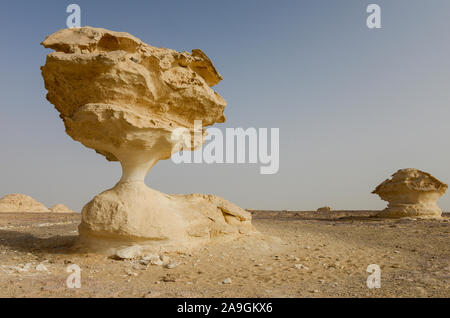 Ägypten, Farafra, Nationalpark Weiße Wüste, Pilze wie Kreide Felsen geformt von Wind und Sand Erosion/AEGYPTEN, Farafra, Nationalpark Weisse Wueste, durch Wind und Sand geformte Kalkfelsen Stockfoto